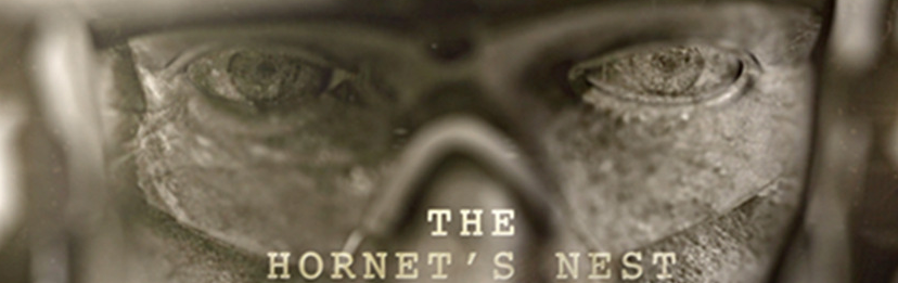 the hornet's nest movie review