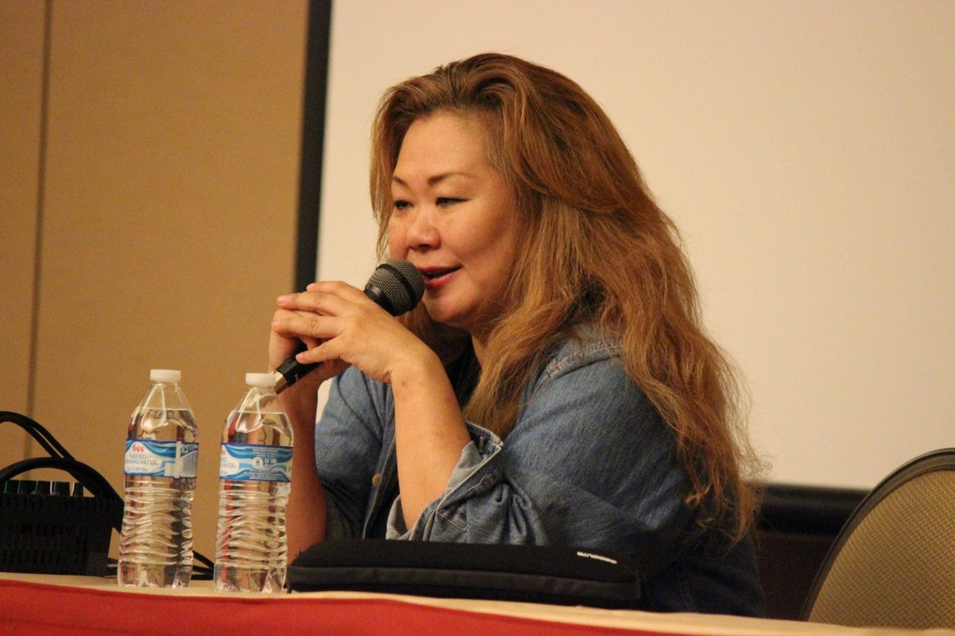 Video game composer Rika Muranaka during her solo panel at Saboten Con 2015.