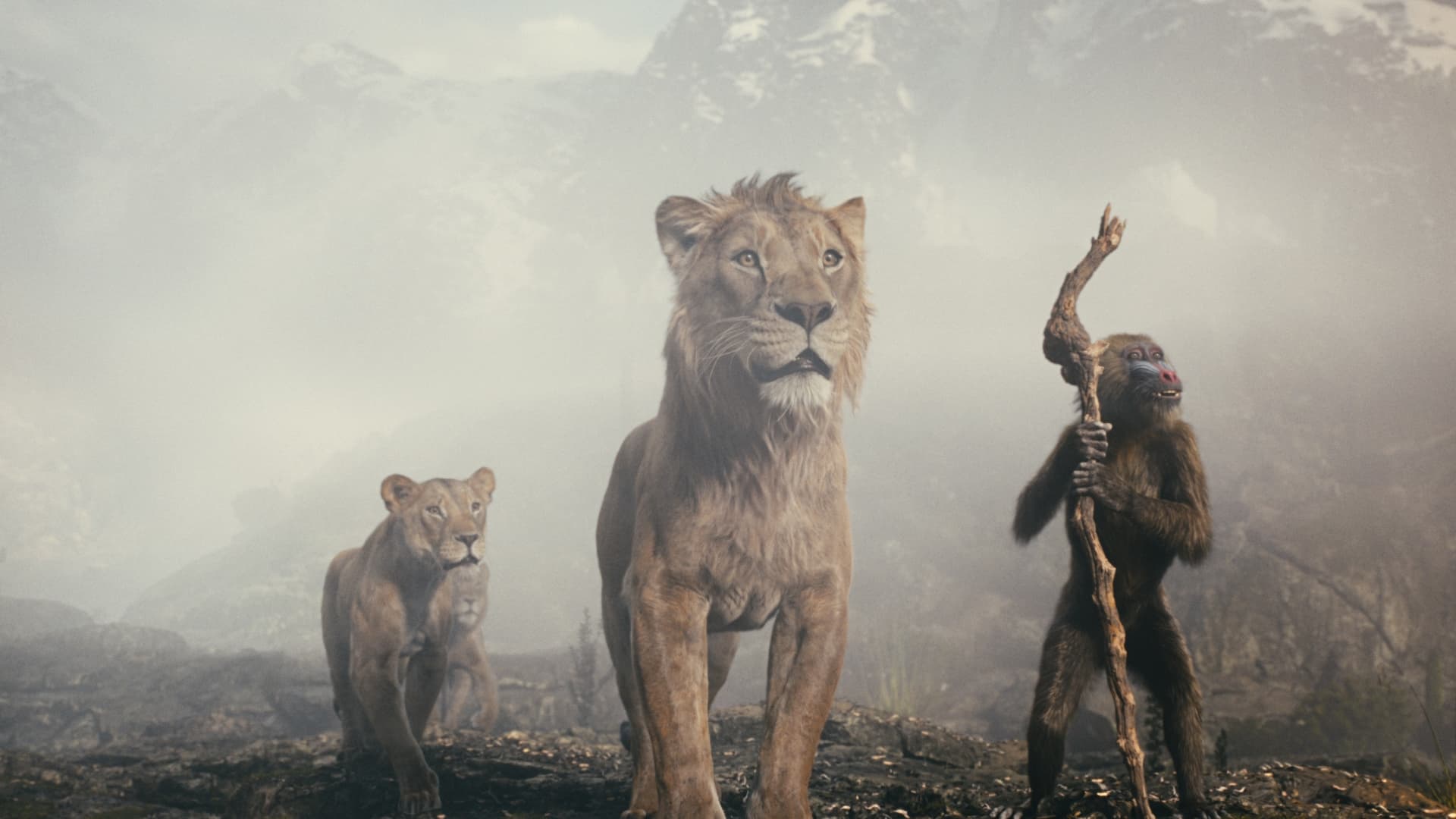 Barry Jenkins, disney, movie review, Mufasa, the lion king