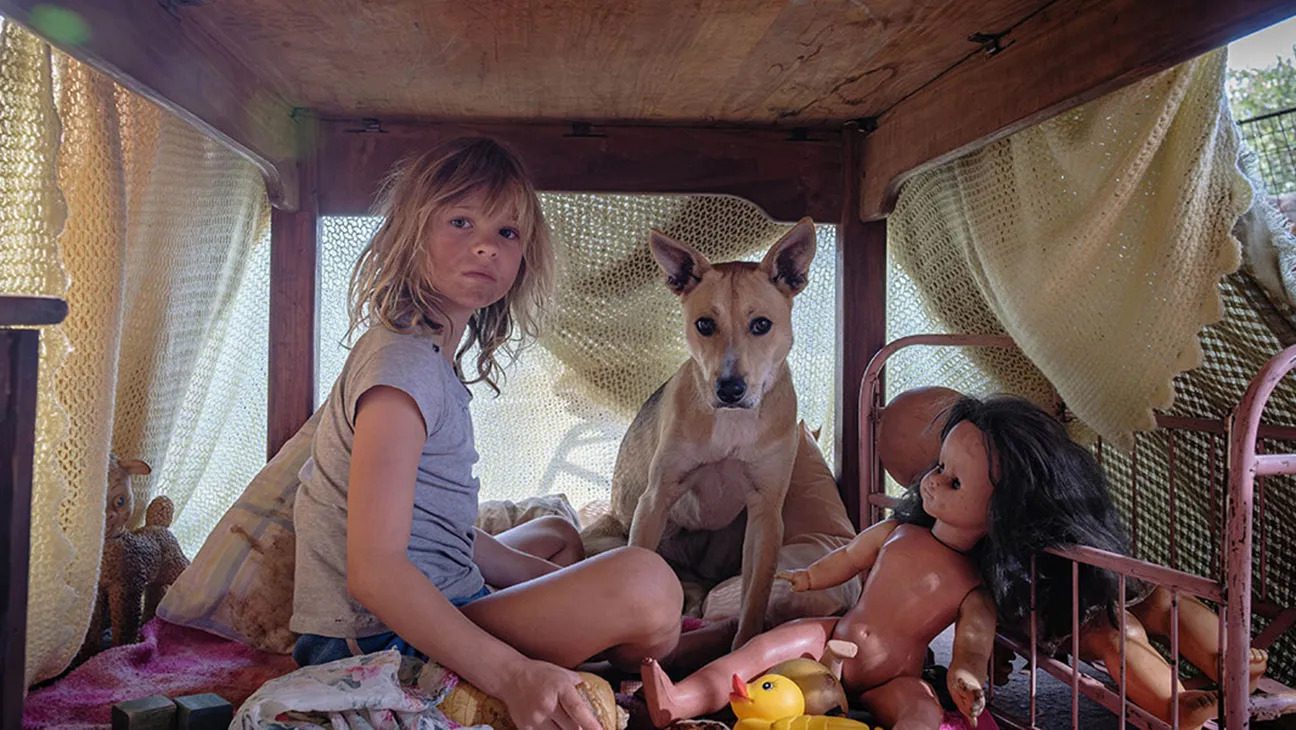 "Don't Let's Go to the Dogs Tonight" Review | Riveting and Evocative Don't Let's Go to the Dogs Tonight